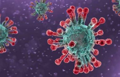 Suami Istri yang Positif COVID-19 Apa Boleh Berhubungan Seks Tidak Ya?