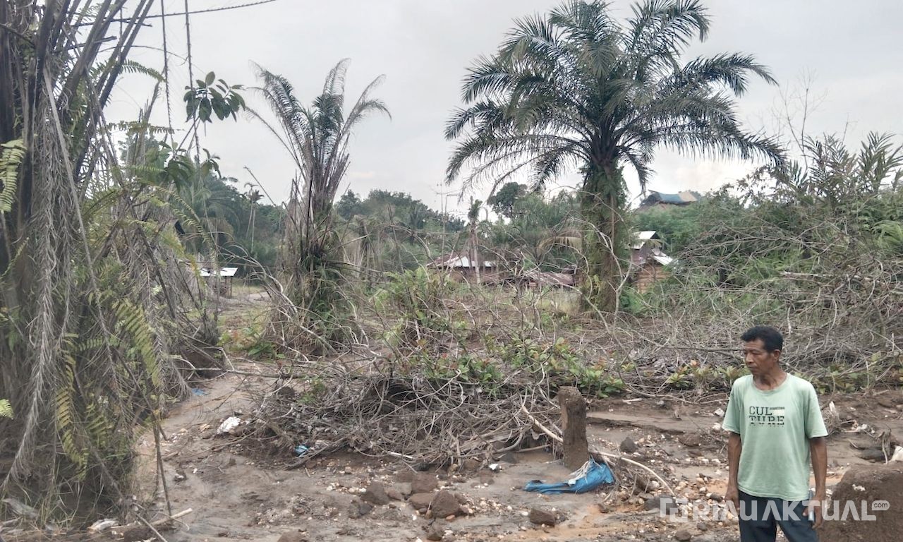Tanaman Mati dan Usaha Terhenti, Limbah FABA PLTU Diduga Ancam Warga Pekanbaru