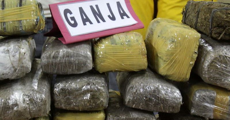 Warga Temukan 1 Kilogram Ganja Kering di Tepi Laut Karimun