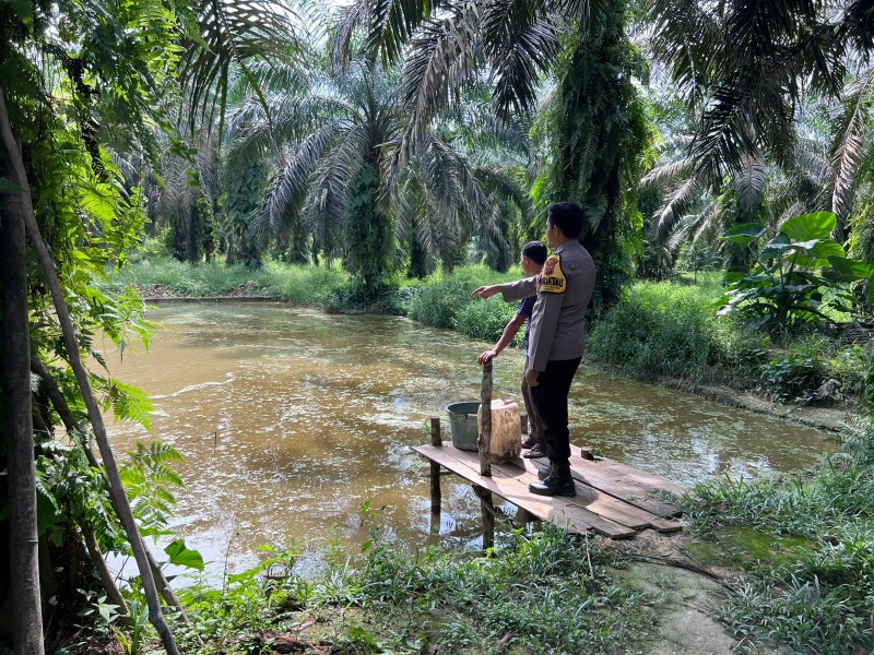 Dukung Program Kapolri, Polsek Tambang Tinjau Ketahanan Pangan di Desa Aursati