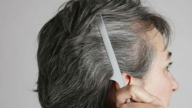 Ternyata, Teh Bisa Hitamkan Kembali Rambut Beruban Kamu