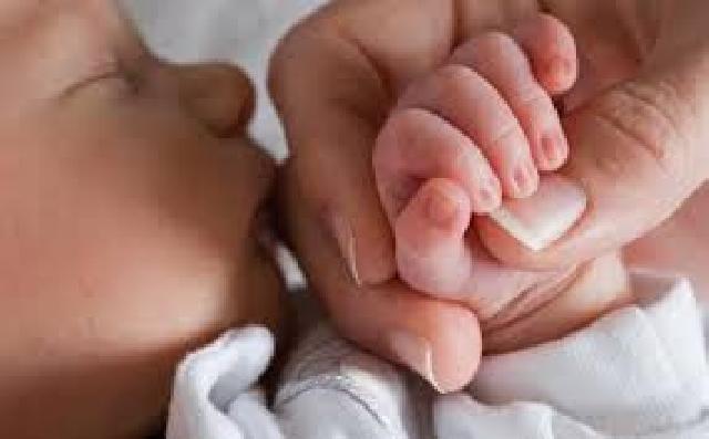 DBD, Bayi Usia Enam Bulan di Pekanbaru Meningggal Dunia