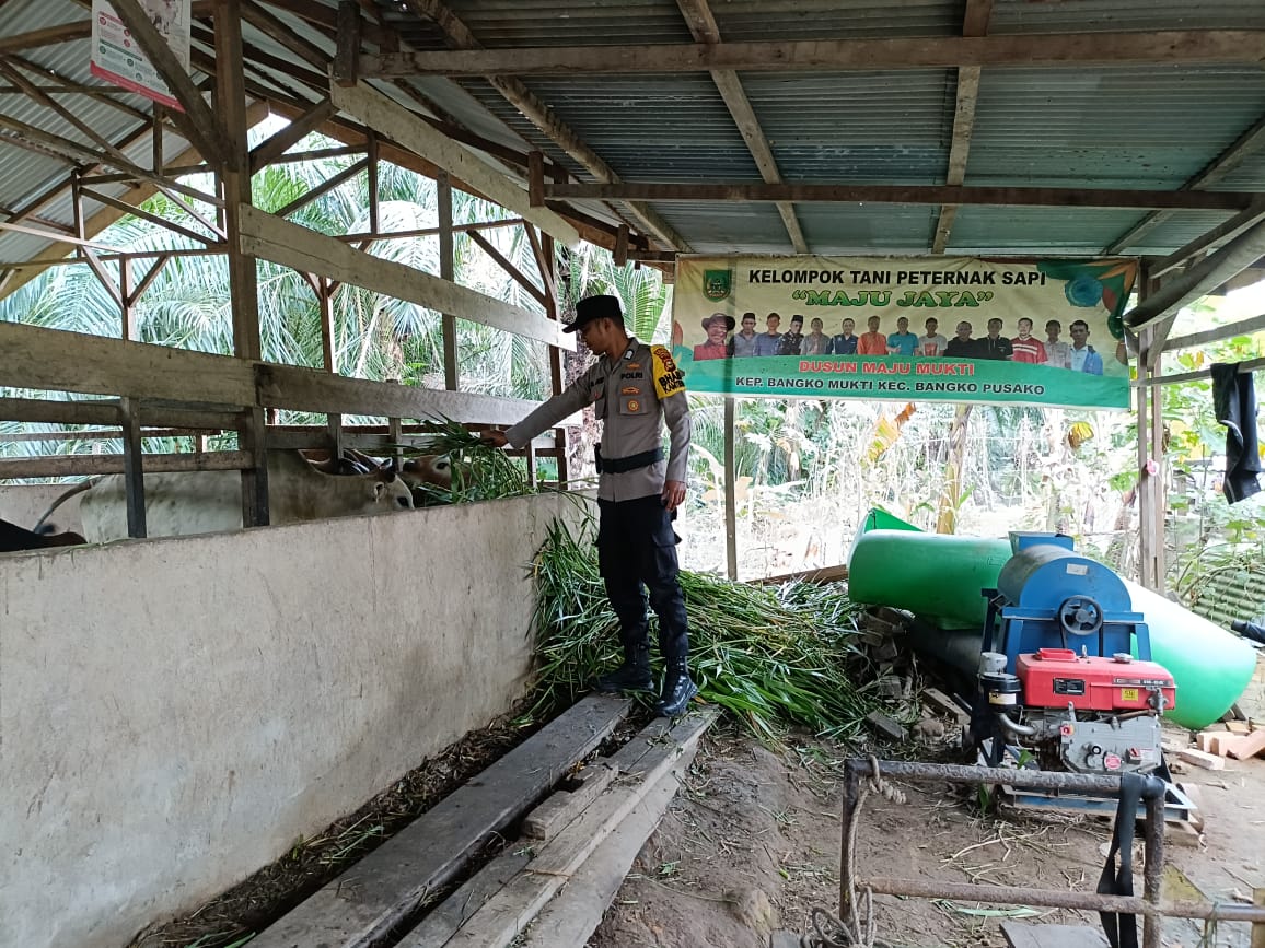 Polsek Bangko Pusako Gelar Pembinaan Ketahanan Pangan di Kepenghuluan Bangko Mukti