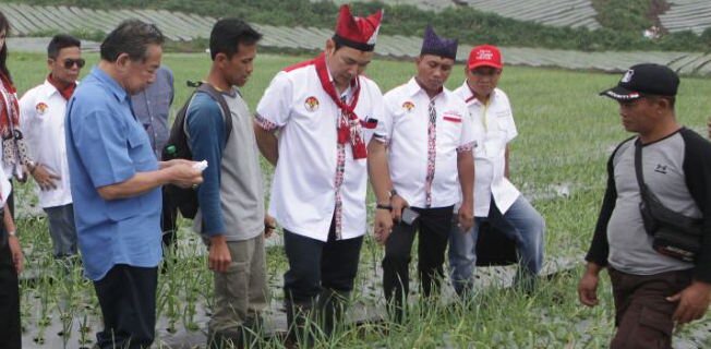 Hebat ! Tommy Soeharto Perang Melawan Tengkulak Cabe