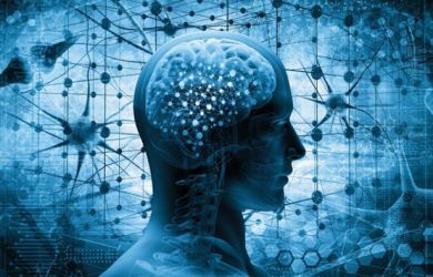 Tiga Bahaya Gula Bagi Kesehatan Otak, Waspada yang Suka Makan Manis!