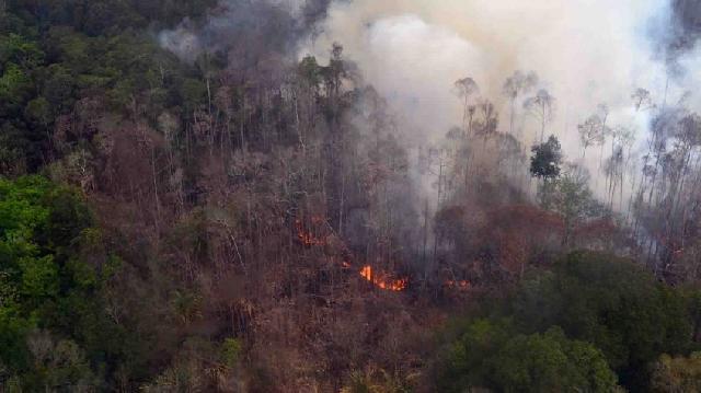 Dalam Satu Bulan, 80 Kasus Kebakaran Lahan