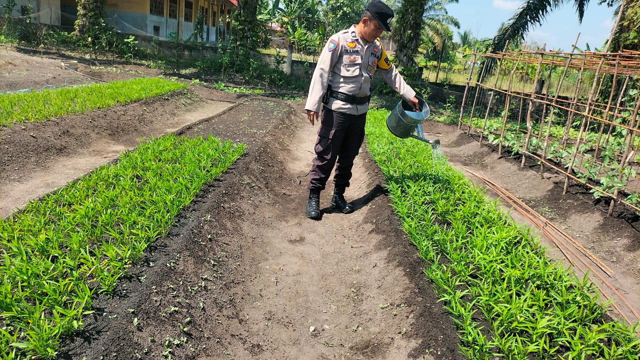 Tanam Kacang Panjang dan Kangkung, Warga Melayu Besar Dapat Pendampingan Polsek TPTM