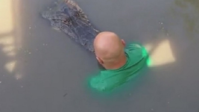 Aksi Menegangkan Sang Penakluk Buaya Besar