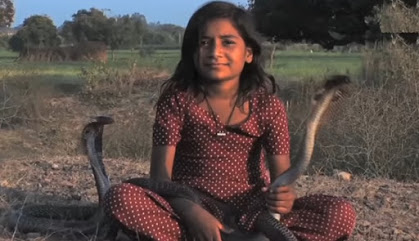 Gadis 14 Tahun Hidup dengan Ular Cobra dan Tahan Terhadap Racunnya