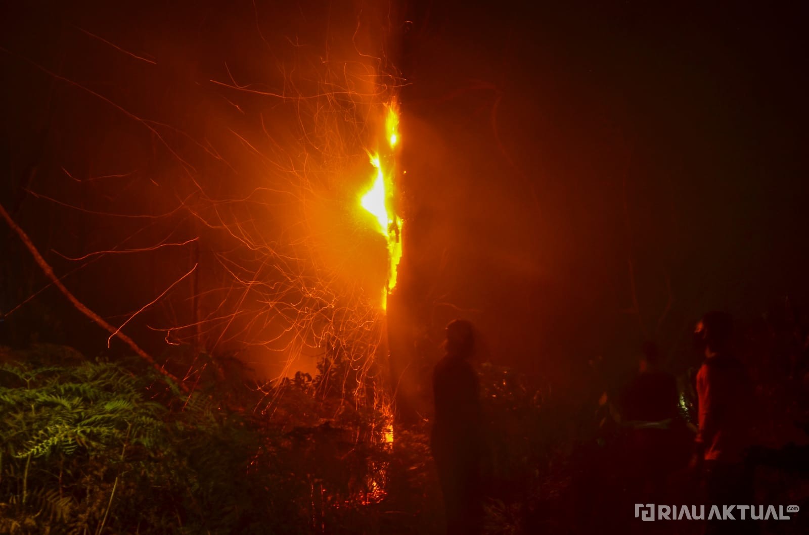 Sejak Januari, 1.219,93 Ha Lahan Terbakar di Riau