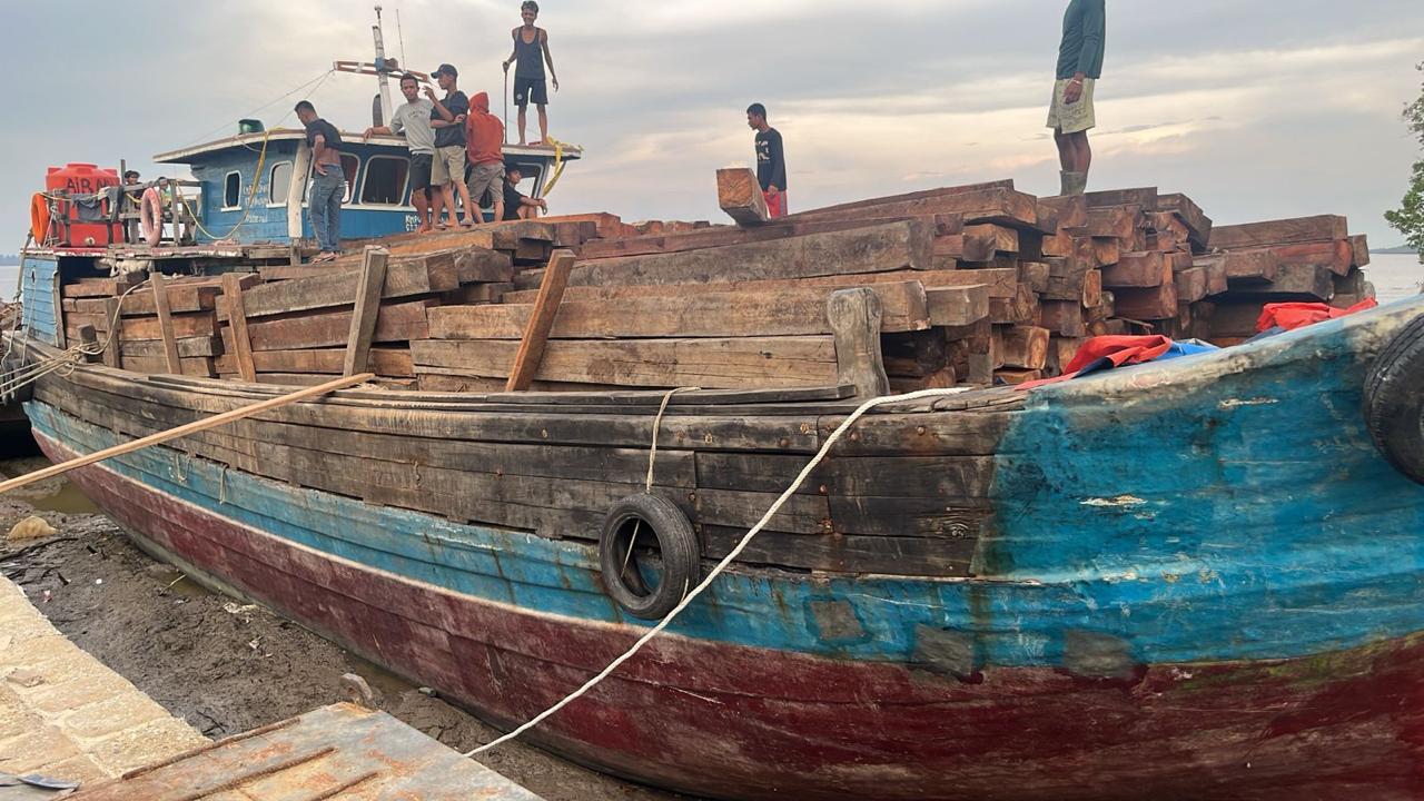Bawa Kayu Ilegal 70 Ton, Nakhoda Kapal di Meranti Ditangkap Polisi