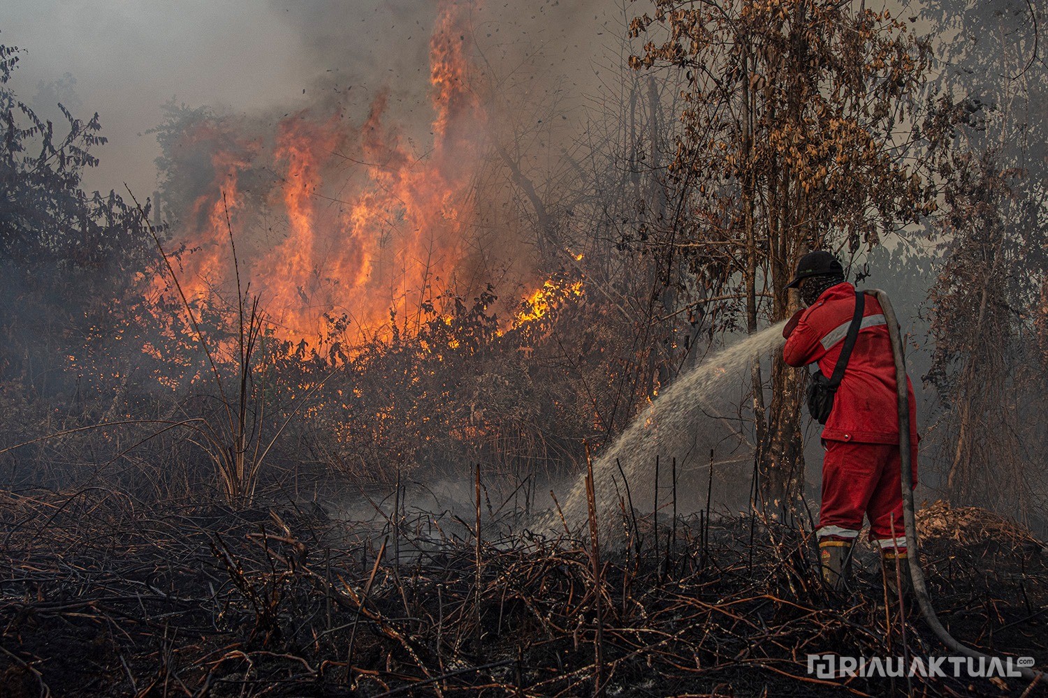 Karhutla Menyebar Akibat Panas, 18 Titik Panas Terdeteksi di Riau