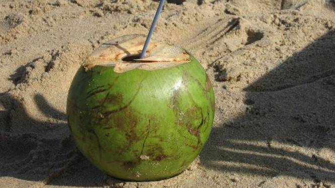Cara Alami Turunkan Kolesterol Tinggi dengan Air Kelapa dan Madu