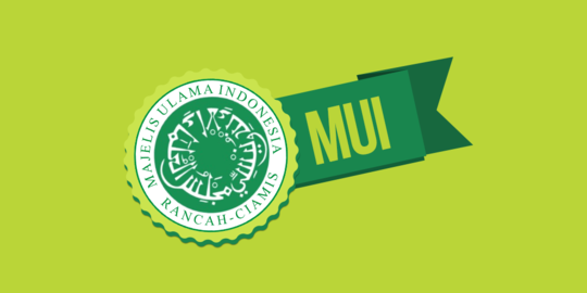 MUI Sebut Semua Agama di Indonesia Tak Setuju LGBT