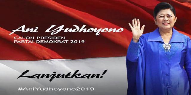 Beredar gambar Bu Ani Yudhoyono jadi calon Presiden RI