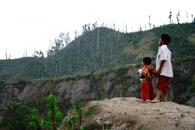 700 Perusahaan di Riau Rambah Hutan Secara Ilegal