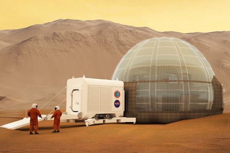 Siapa Orang Pertama yang Akan Mendiami Mars? Ini Jawaban Elon Musk