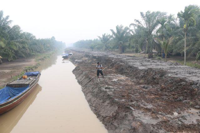 Cegah Kerusakan Lahan, Pemkab Inhil Bangun 11 Tanggul