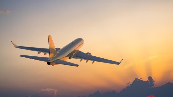 Ini Deretan Maskapai Banting Setir: Bisnis Akikah hingga Jualan Gorengan