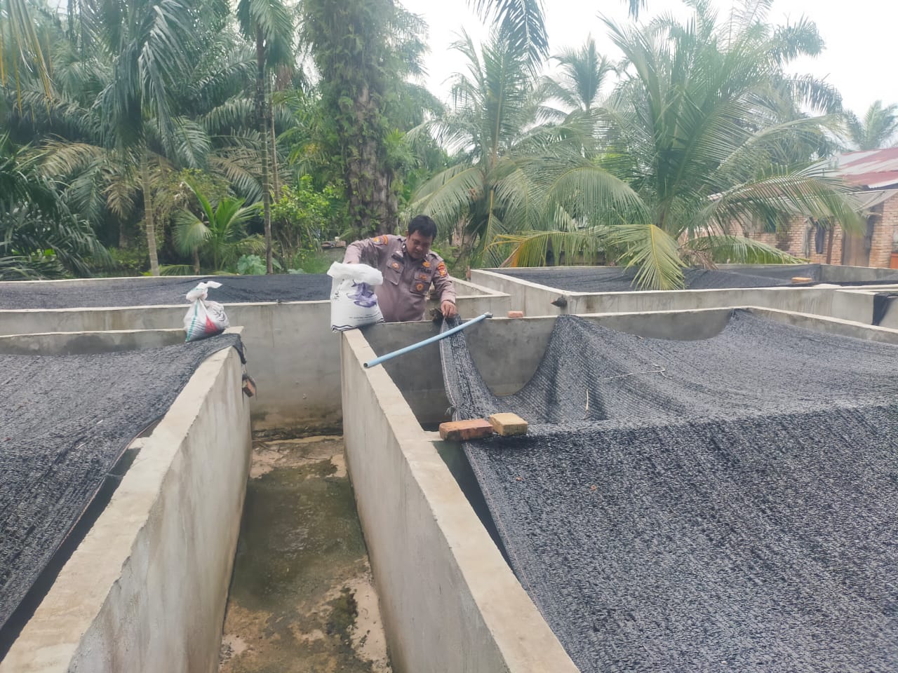 Polsek Bangko Pusako Gelar Pembinaan Ketahanan Pangan ke Masyarakat Teluk Bano I