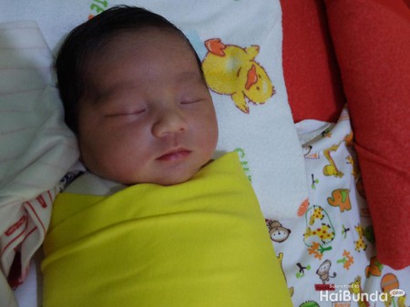 Bunga-bunga yang Bisa Jadi Inspirasi Nama Bayi