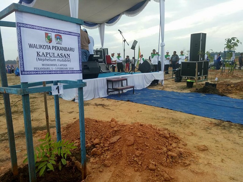 Firdaus dan Airin Tanam Pohon Langka di Perkantoran Baru Tenayan Raya