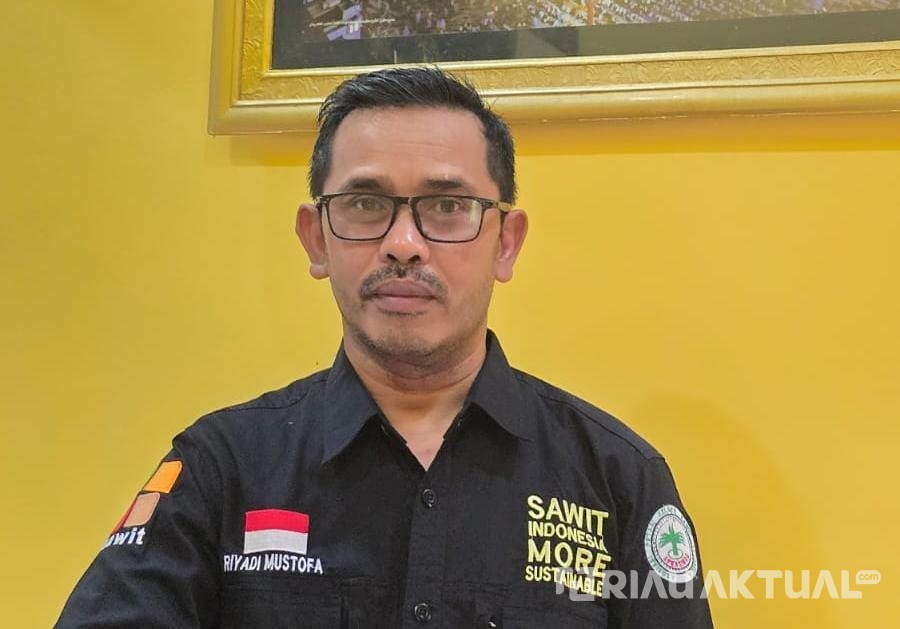 Banyak Petani Sawit Terdampak Penertiban Kawasan Hutan, Apkasindo Minta Pemerintah Lakukan Ini