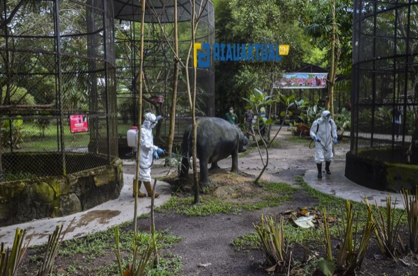 Balai Besar KSDA Riau Lakukan Penyemprotan Disinfektan di Kebun Binatang Kasang Kulim