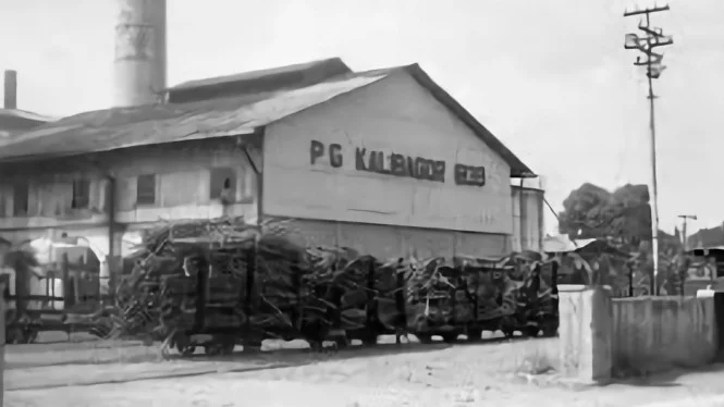Misteri Pabrik Gula Sokaraja Sejarah Yang Terlupakan