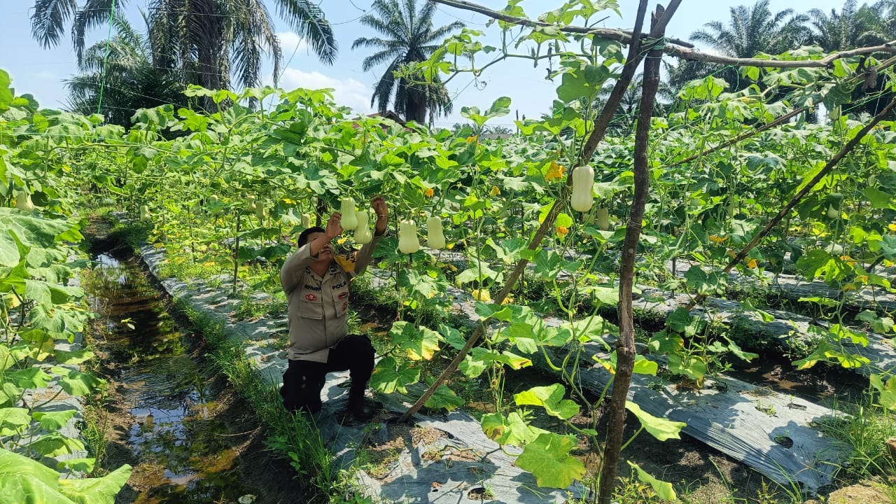 Bhabinkamtibmas Bangko Kanan Dampingi Program Ketahanan Pangan untuk Warga