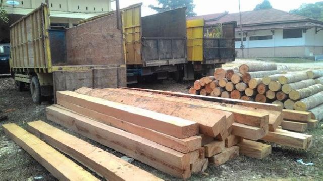 Delapan Ton kayu Diduga Ilegal Berhasil Diamankan Polres Dumai