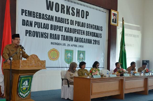 Sekda: Pemberantasan Rabies Harus Serius