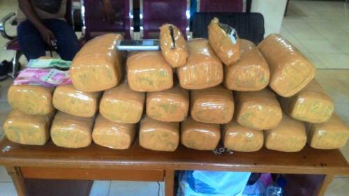 Dibungkus Kardus Mi Instan, 20 Kg Ganja Gagal Beredar