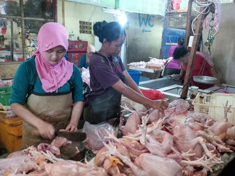 H-3 Jelang Penutupan Tahun 2017, Harga Ayam Potong Kembali Naik