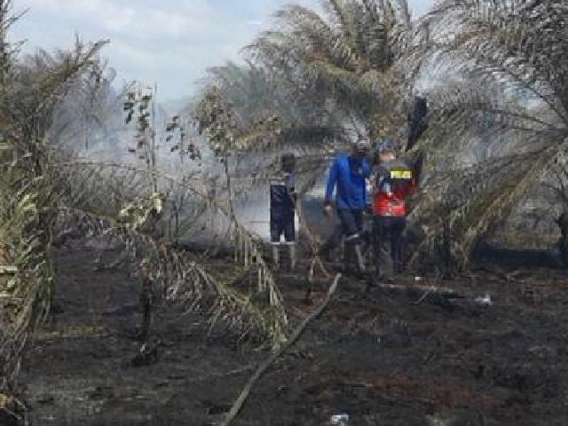 Petugas Berhasil Padamkan Titik Api di Siak