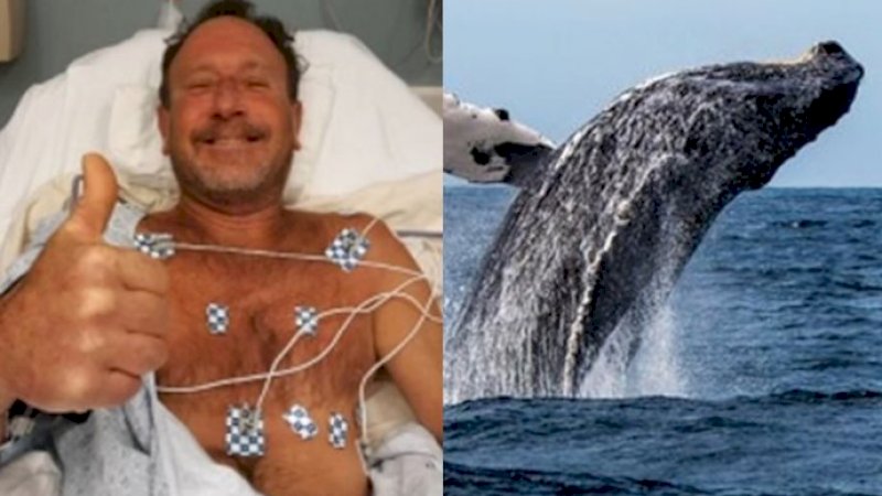Pria Ini Bertahan Hidup Setelah 40 Detik Ditelan Ikan Paus