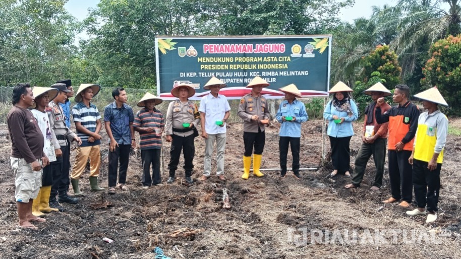 Polsek Rimba Melintang Tanam Jagung di Teluk Pulau Hulu Dukung Ketahanan Pangan 2025