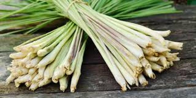 Selain untuk bumbu, ini 7 cara asyik dapatkan manfaat sehat serai