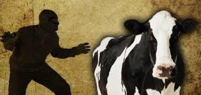 Pencurian Ternak Meningkat, Warga Pematang Obo Resah