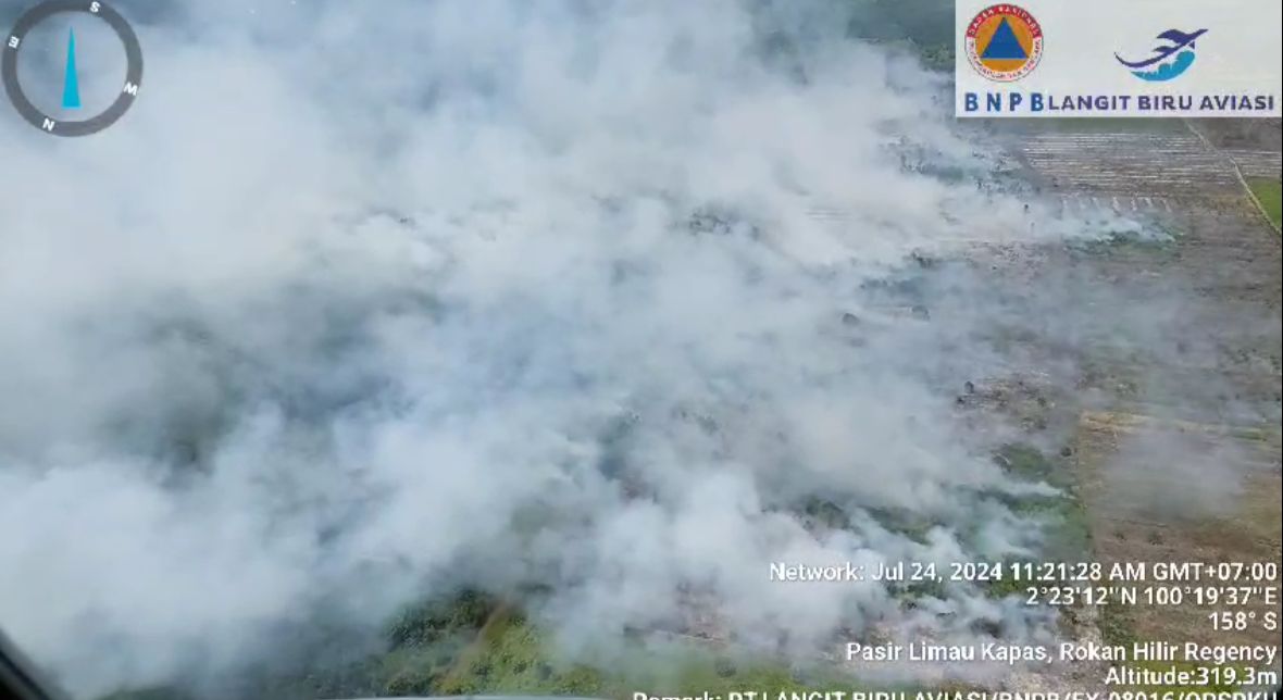 61 Titik Api Terdeteksi di Riau, Paling Banyak Rohil