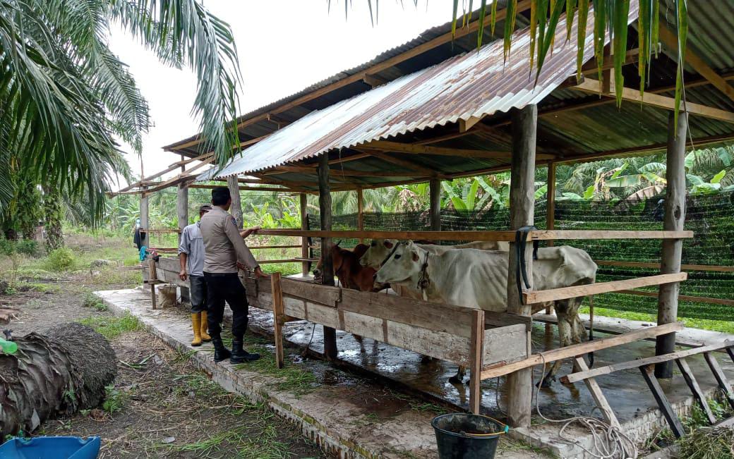 Polisi di Rohil dan Kelompok Tani Sungai Manasib Perkuat Ketahanan Pangan