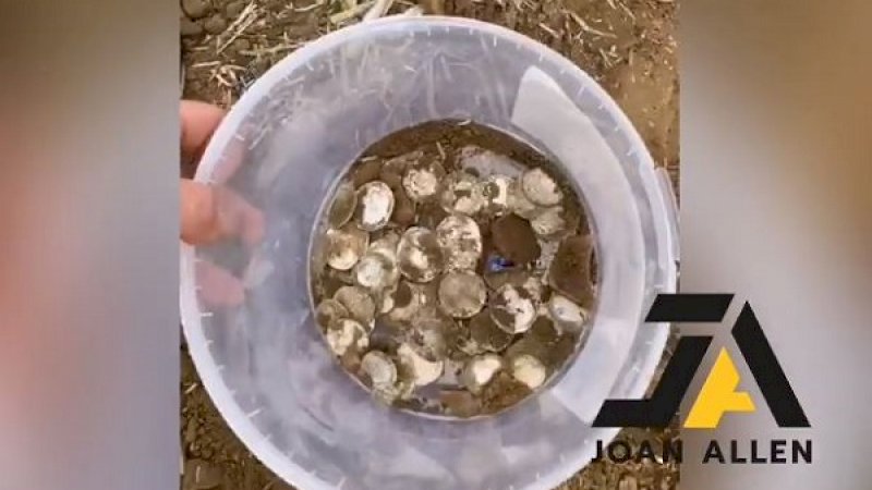 Gunakan Detektor Logam, Pemburu Harta Karun Temukan Koin Perak Senilai Rp1,9 Miliar