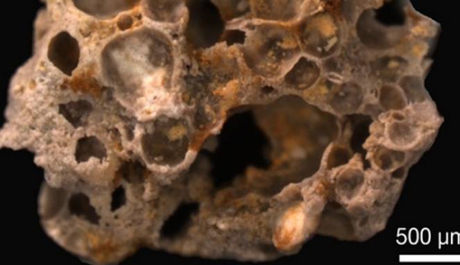 Ditemukan Fosil Gelembung Oksigen 1,6 Miliar Tahun yang Lalu