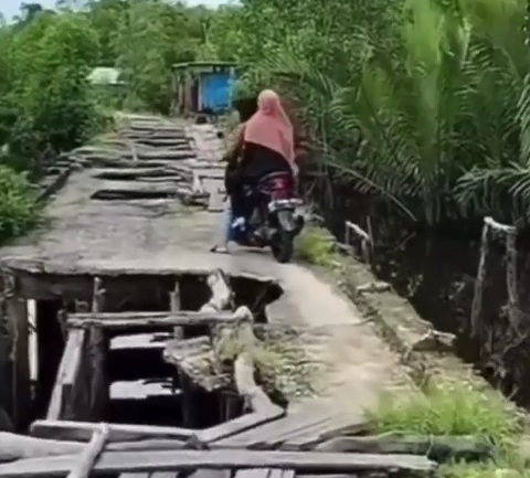 Viral Video Jalan 'Sakaratul Maut' di Indragiri Hilir