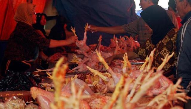Kebijakan Importasi Daging Ayam RI Digugat Brasil