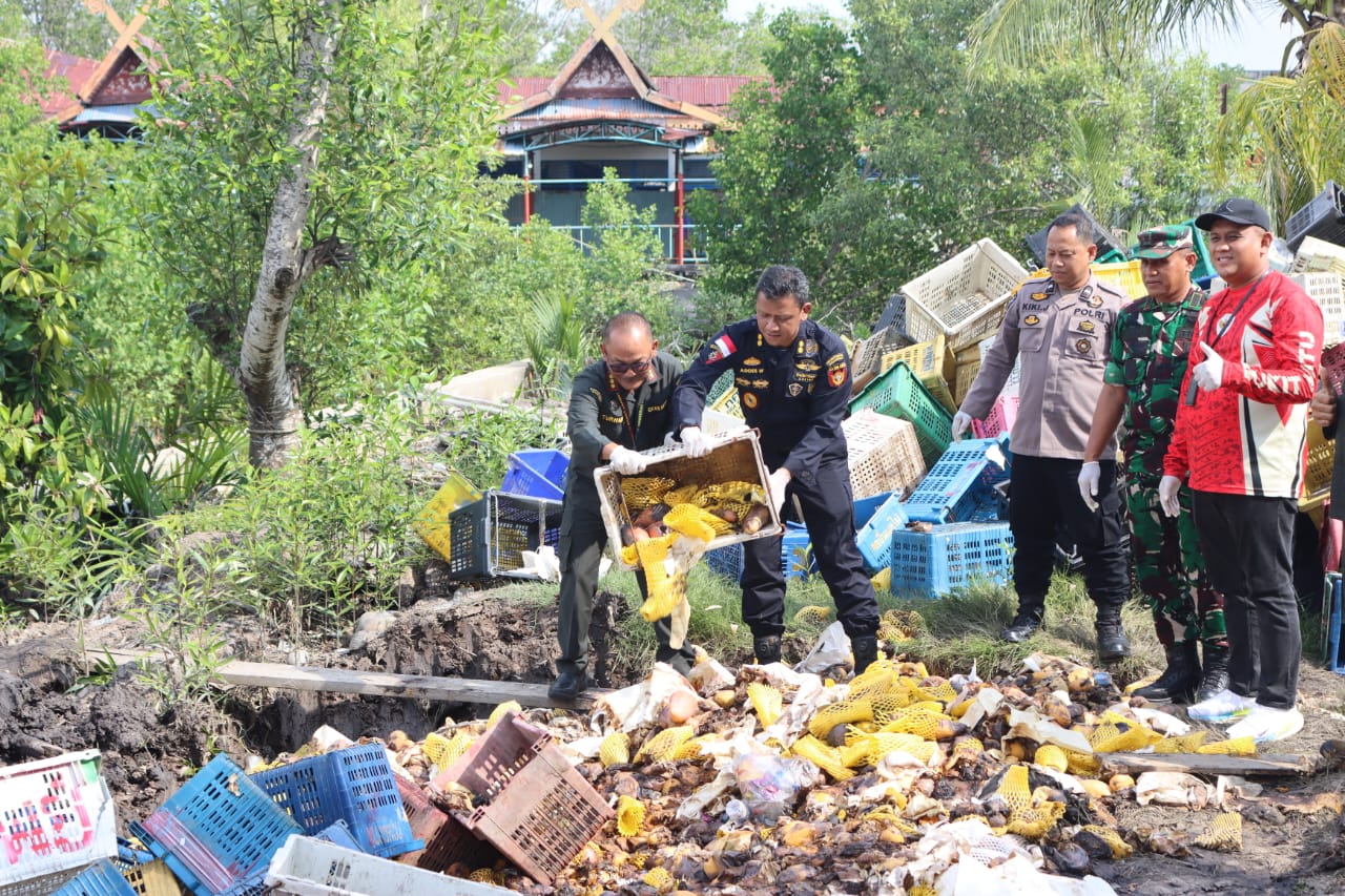 Bea Cukai Bengkalis Musnahkan 25,9 Ton Mangga Ilegal Asal Malaysia
