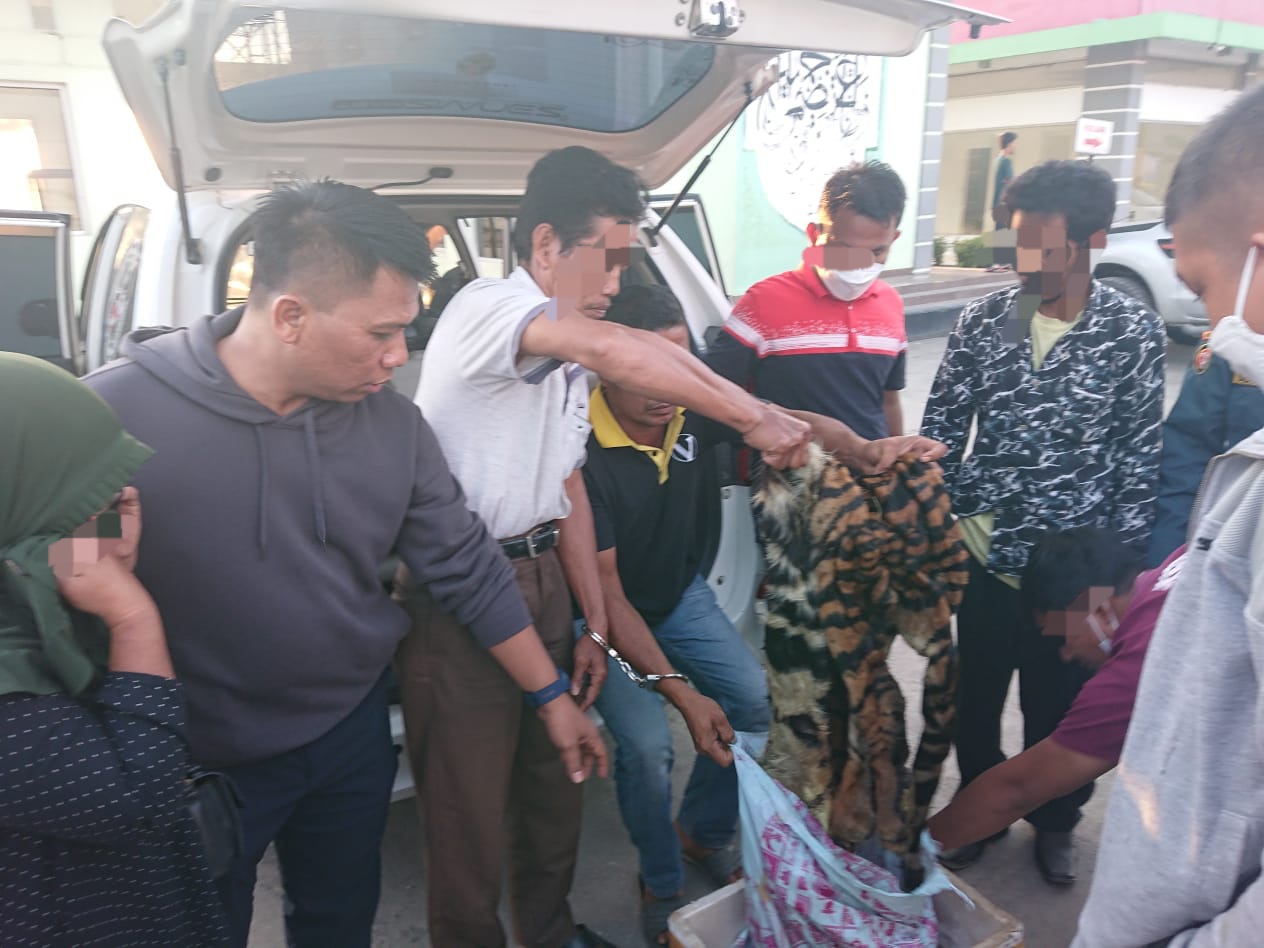 Diciduk Soal Perdagangan Kulit Harimau, Ini Peran Keempat Pelaku