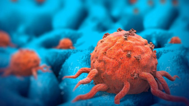 Buah Ini adalah Pembunuh Kanker yang Kuat