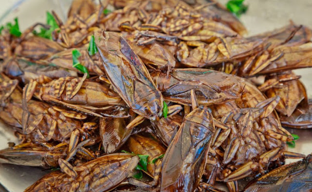 Ini Lima Menu Dessert Paling Ekstrem