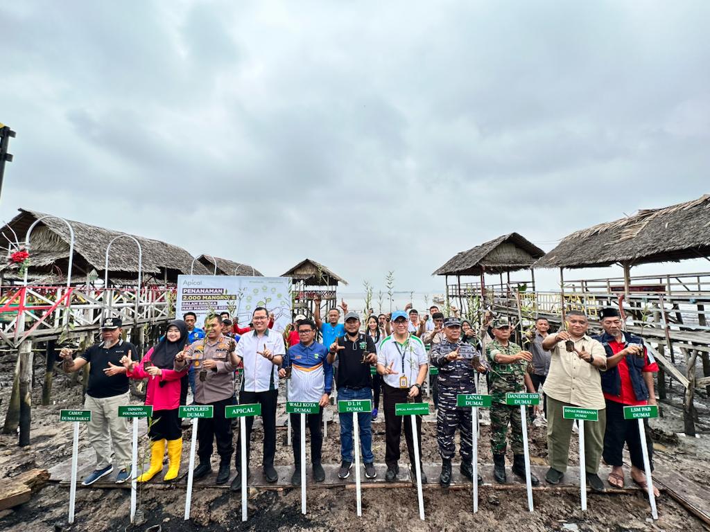 Apical Tanam 2.000 Mangrove di Dumai Riau